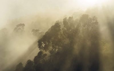 Fotobehang - Misty Mountain 400x250cm - Vliesbehang