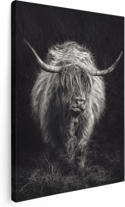 Artaza Canvas Schilderij Hooglander - 30x40 cm - Klein - Schilderijen Op Canvas Woonkamer - Muurdecoratie Dierenkop - Zwart Wit
