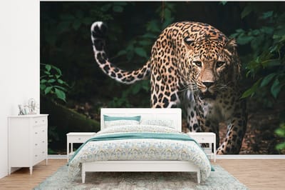 Behang - Fotobehang Wilde dieren - Luipaard - Jungle - Natuur - Breedte 375 cm x hoogte 280 cm