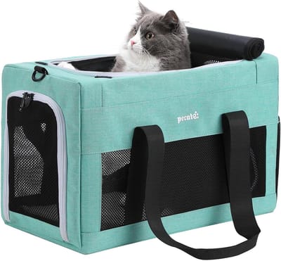 Kattenreismand - Aquagroen - Medium - Ademend Nylon Met Verstevigde Bodem - Voor Kleine Huisdieren
