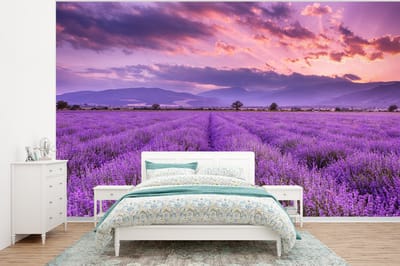 Behang - Fotobehang Lavendel - Paars - Bloemen - Veld - Breedte 320 cm x hoogte 240 cm