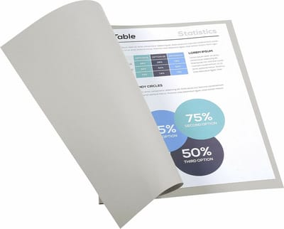 Exacompta FOREVER 220-Pak van 100 dossiermappen 220g/m2 24x32cm voor A4. - Grijs - 410009E