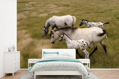 Behang - Fotobehang Paarden - Veulen - Dieren - Breedte 450 cm x hoogte 300 cm