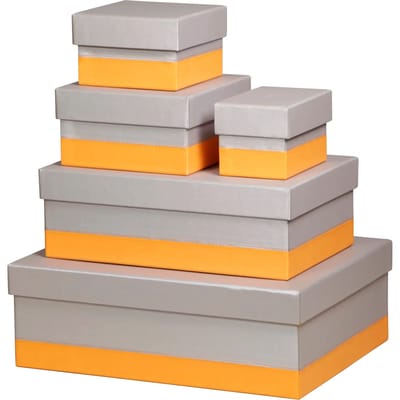 Italian faux leather nestende boxen Rhodia Rhodiarama (x5)