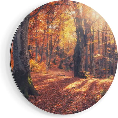 Artaza Dibond Muurcirkel Oranje Herfstbos Met Zonneschijn - Ø 40 cm - Klein - Wandcirkel - Rond Schilderij - Voor Binnen en Buiten