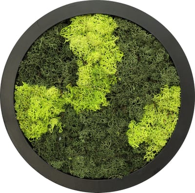 Comforder Mosschilderij - Moswand van Rendiermos - Onderhoudsvrije Wanddecoratie Hout Natuurlijk - Rond Ø27cm