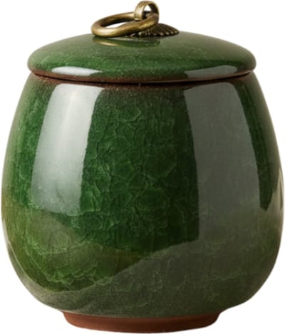 Artic Celeste Mini Urn – Donkergroen – 200 ML – Hoogwaardig Keramiek – Handgemaakt – As Urn – Menselijk As – Huisdieren Urn – Urn Hond – Urn Kat – Urn voor As Volwassen – Decoratie Urne – Urnen – Mini Urn – Urne Volwassenen – Urn voor Dieren