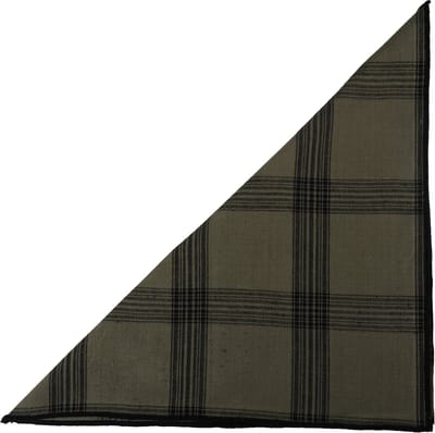 Black Check Servet sage 40x40cm (set of 2)