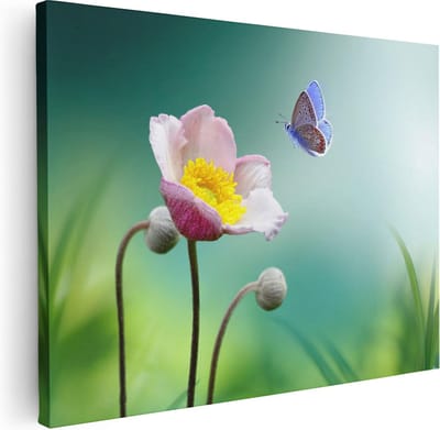 Artaza Canvas Schilderij Vlinder Op Bloem - 40x30 cm - Klein - Wanddecoratie Bloemen - Schilderijen Op Canvas Voorjaar