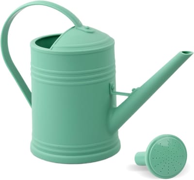 Gieter voor Planten - 2 Liter Capaciteit - Lange Tuit met Verwijderbare Spuitkop