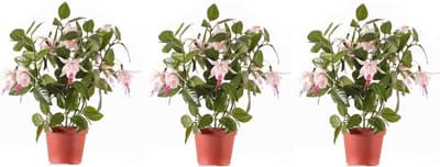 Kunstplant met bloemen - 3x - fuchsia roze - 30 cm - Kamerplant met bloemetjes