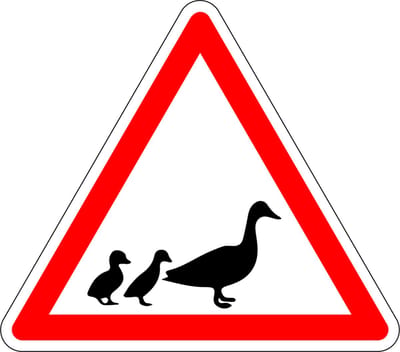 Pas op voor eenden sticker 100 mm