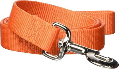 Dikke nylon hondenriem met draaibare karabijnhaak 10 mm x 180 cm Oranje