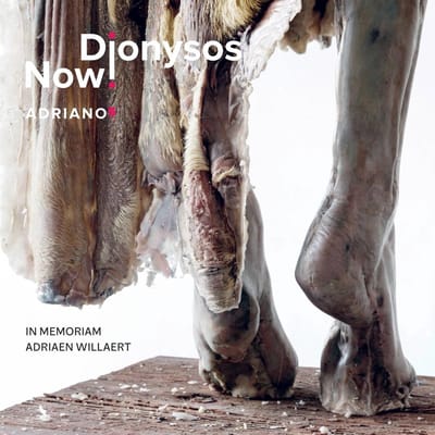 Adriano 5 - Dionysos Now!