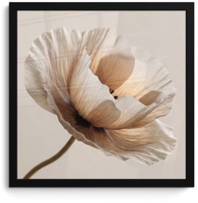 Poster in lijst - Fotolijst 40x40 cm - Posters - Bloem - Beige - Crème - Posterlijst zwart - Decoratie - Wanddecoratie woonkamer - Muurdecoratie slaapkamer