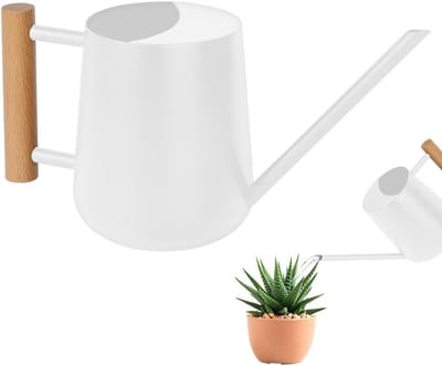 Mini Gieter van RVS met Lange Tuit voor Binnen- en Buitengebruik, Ideaal voor Planten, Succulenten en Bloemen - 1L Capaciteit
