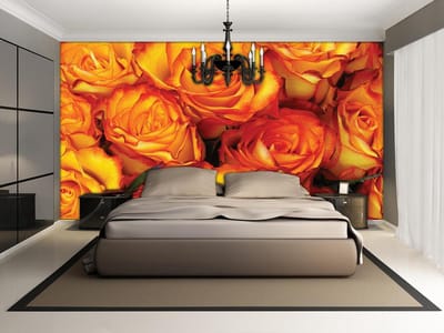 Poster | Oranje | 104 x 70,5 cm