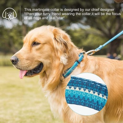 Hondenhalsband voor grote honden - Sterke en comfortabele anti-trek halsband voor training en wandelen