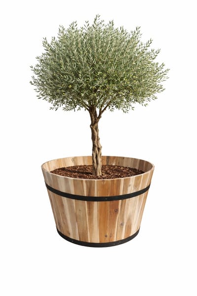 Acacia Kuip, naturel – D62 x H42 cm – Houten Plantenbak / Bloembak / of ter Decoratie