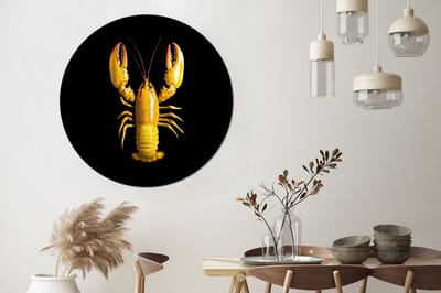 WallCircle - Wandcirkel - Muurcirkel - Kreeft - Geel - Stippen - Effen - Aluminium - Dibond - 140x140 cm - Binnen en Buiten