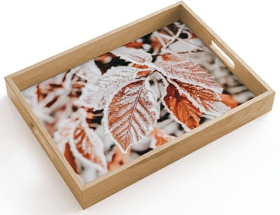 Dienblad hout 40x30 cm - Schootdienblad - Bladeren - IJs - Winter - Natuur - Borrelplank rechthoek - Plateau dienbladen
