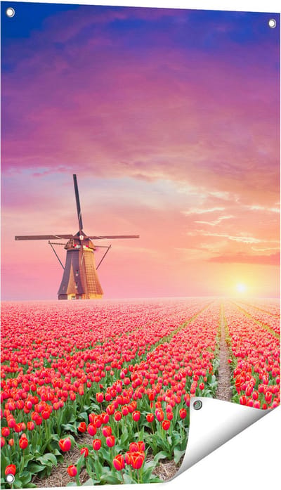 Gards Tuinposter Rode Rozen Bloemenveld met een Windmolen - 60x90 cm - Tuindoek - Tuindecoratie - Wanddecoratie buiten - Tuinschilderij