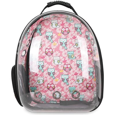 Kattentas Buiten Draagbare Tas Huisdier Kat Rugzak Buiten Rugzak Ruimte Capsule Kattenkooi Ademend Hond Schooltas 41*32*24cm