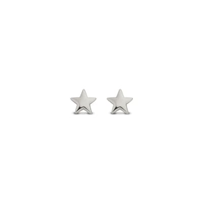 New Bling 9NBG-0439 Witgouden Oorknopjes Ster - 4mm - 14 Karaat - Witgoud