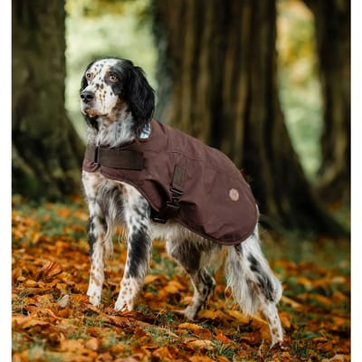 Hondenjas Horseware Newmarket Heritage