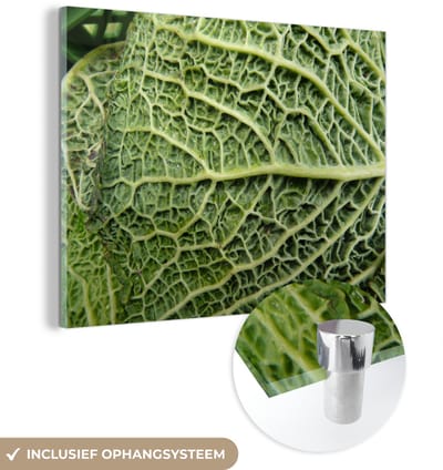 ® Glasschilderij 160x120 cm - Schilderij acrylglas - De aderen van het blad in een groene kool - Foto op glas - Muurdecoratie woonkamer - Wanddecoratie slaapkamer - Schilderijen