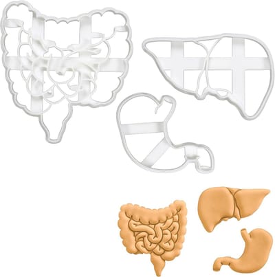 Set van 3 Anatomie Koekjesuitstekers voor Spijsverteringsstelsel – Darmen, Lever en Maag