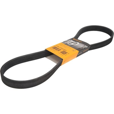 V-ribben riem CONTINENTAL 7 PK 1179 ELAST