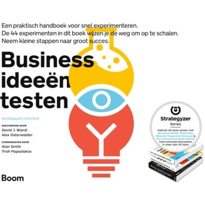 Businessideeën Testen - David J. Bland