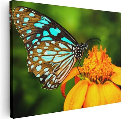 Artaza Canvas Schilderij Vlinder Op Bloem - 40x30 cm - Klein - Wanddecoratie Vlinders - Muurdecoratie Bloemen - Kamer Accessoires
