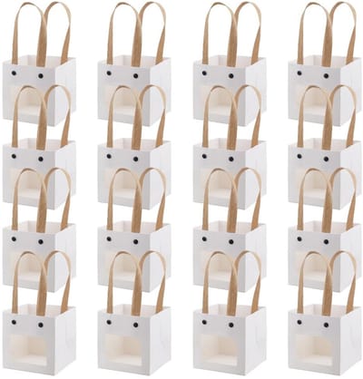 Dailygoods- Geschenktas 16-Pack - Witte Kraftpapier - 20x10x10cm - Met Hengsels - Voor Verjaardag/Huwelijk/Feest - Transparante Venster - Cadeautas