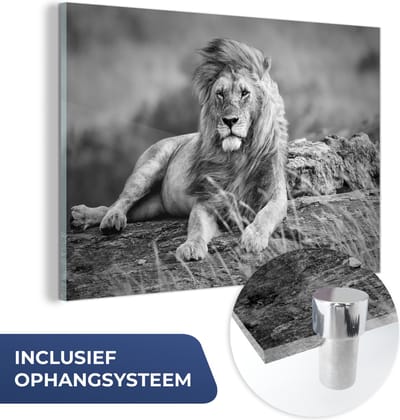 MuchoWow® Glasschilderij 30x20 cm - Schilderij acrylglas - Leeuwen - Wild - Zwart - Wit - Foto op glas - Schilderijen