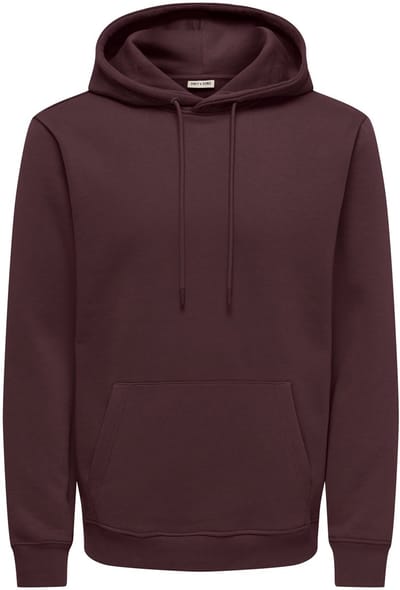 ONLY&SONS - ONSCONNOR LIFE REG SWEAT HOODIE NOOS - Heren - Sweaters