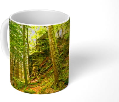 Mok - Koffiemok - Bomen - Steen - Bos - Natuur - Planten - Mokken - 350 ML - Beker - Koffiemokken - Theemok