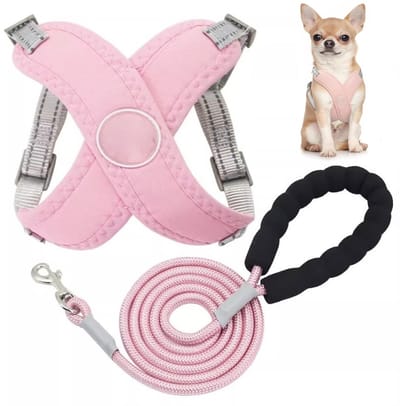 Hondentuigje Pet X Frame - M - Hondentuig en lijnset - Hondenharnas - Anti-verstikking - Met 1.5m riem - Verstelbaar - Reflecterend - Verstikkingsvrij - Gewatteerd vest - Voor kleine en middelgrote honden en katten, ideaal voor wandelen en training