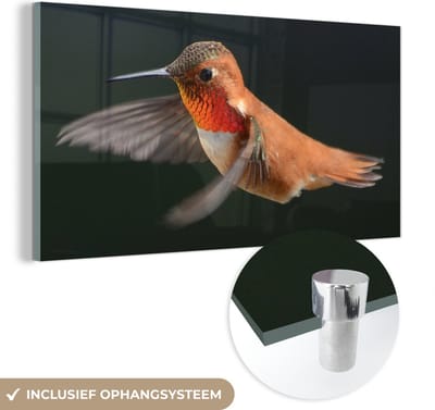 MuchoWow® Glasschilderij 40x20 cm - Schilderij acrylglas - Kolibrie - Vogel - Veren - Zwart - Foto op glas - Schilderijen
