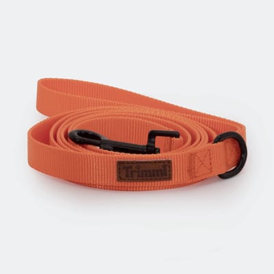 Nylon riem oranje - 152 cm x 2 cm - honden riem - gepersonaliseerd - hondenriemen - halsband - hond - hondenhalsband met naam - halsbanden, riemen & tuigen - Trimmi
