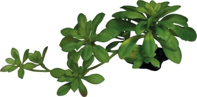 Repto Plant Succulent Green XL - Kunstplant Terrarium