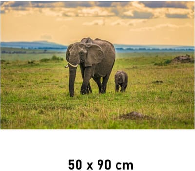 Allernieuwste.nl® Canvas Schilderij Olifant met Babyjong Kalf - Natuur - kleur - 50 x 90 cm