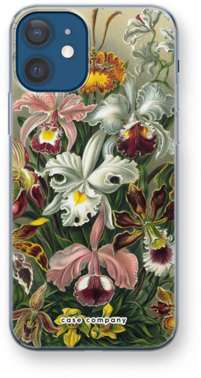 Case Company® - Hoesje geschikt voor iPhone 12 hoesje - Haeckel Orchidae - Soft Cover Telefoonhoesje - Bescherming aan alle Kanten en Schermrand