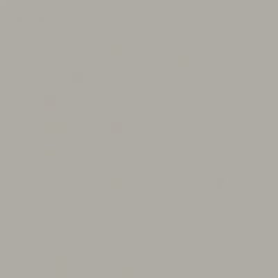 Vinyl | UNI kleed vinyl | Licht Grijs | 95x95 cm | Het UNI kleed vinyl in Licht Grijs biedt stijl, comfort en duurzaamheid. Perfect voor elk interieur, onderhoudsvriendelijk en gemaakt van 100% gerecycled vinyl. Een slimme keuze voor gezinnen!