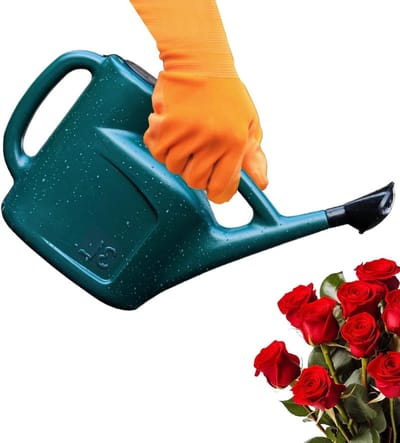 Plant Gieter - Tuingereedschap Bewateringsgerei - Planten Water Geven - Twee Bevloeiingsstanden - 3 Liter - Grijs
