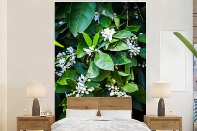 Behang - Fotobehang Oranjebloesem tussen de groene bladeren - Breedte 170 cm x hoogte 260 cm