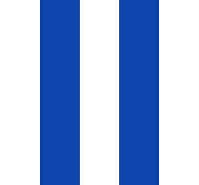 Vlag Berlaar 100x150cm
