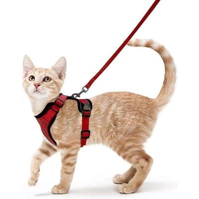 Kattenharnas en Lijn voor Wandelen, Ontsnappingsbestendig Zacht Verstelbaar Vest Harnesses voor Katten, Ademend Reflecterende Strepen Jas Decoratie XS beige