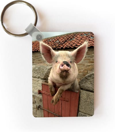 Sleutelhanger - Varken - Roze - Dier - Uitdeelcadeautjes - Plastic